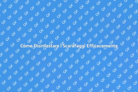 Controllo Disinfestazione Scarafaggi