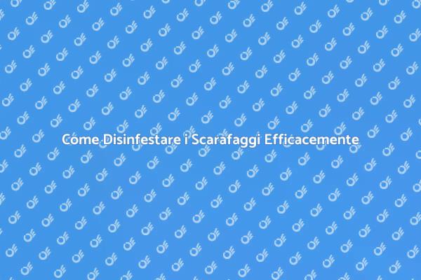 Liberati dagli Scarafaggi Subito!