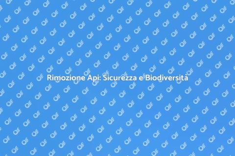 Rimozione delle Api: Guida Essenziale