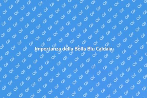 Bolla Blu Caldaia Annuale Essenziale