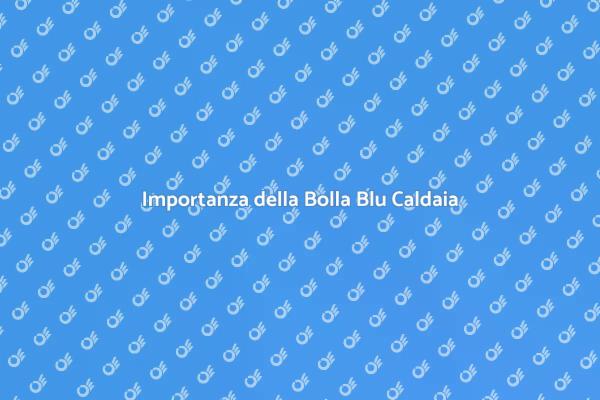 Caldaia Annuale: Sicurezza Garantita