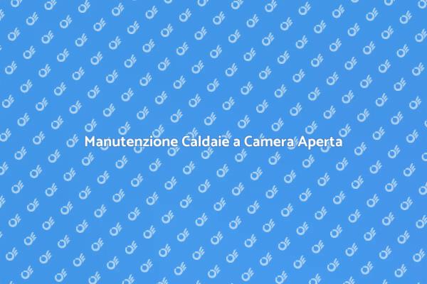 Caldaie a Camera Aperta: Assistenza Necessaria