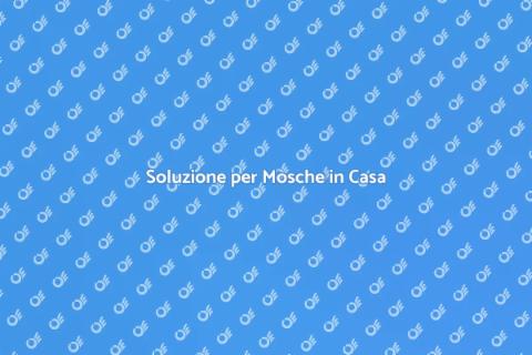 Disinfestazione Mosche Efficace