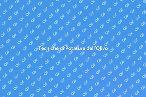 Potatura Olivo: Guida Pratica Essenziale