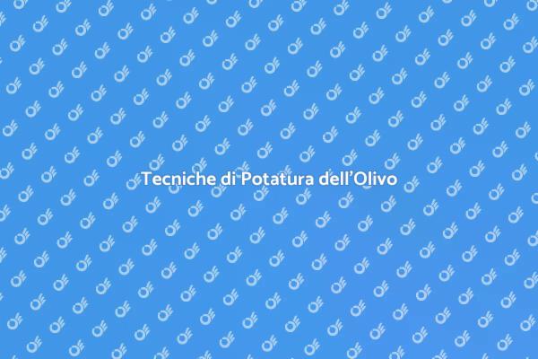 Potatura Olivo: Tecniche Essenziali