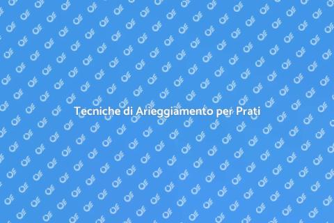Arieggiamento del Prato: Guida Essenziale