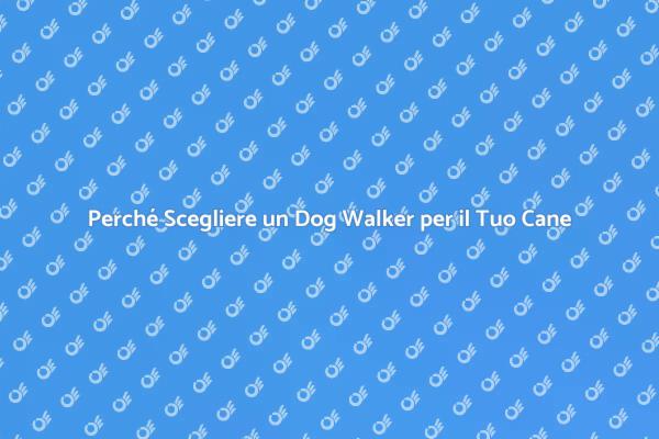 Dog Walker: La Soluzione per il Tuo Fido
