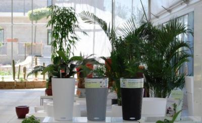 Artenatura Garden Center  - Foto 3