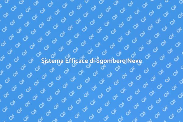 Proteggi le Strade con Sgombero Neve