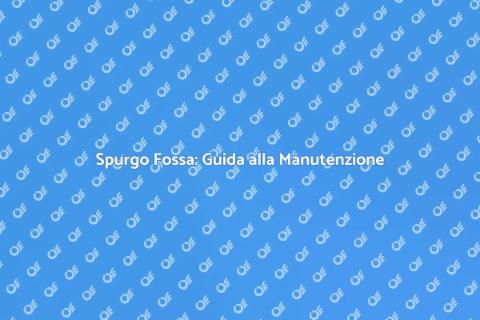Manutenzione Fossa Biologica Essenziale