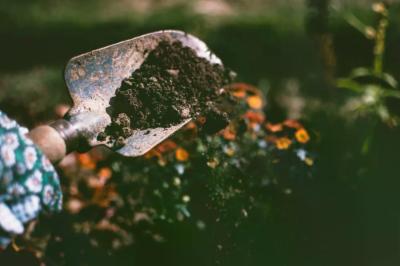Bonus verde 2020 per il giardino: come attivarlo