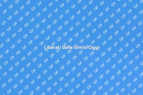 Combattere le Cimici in Casa