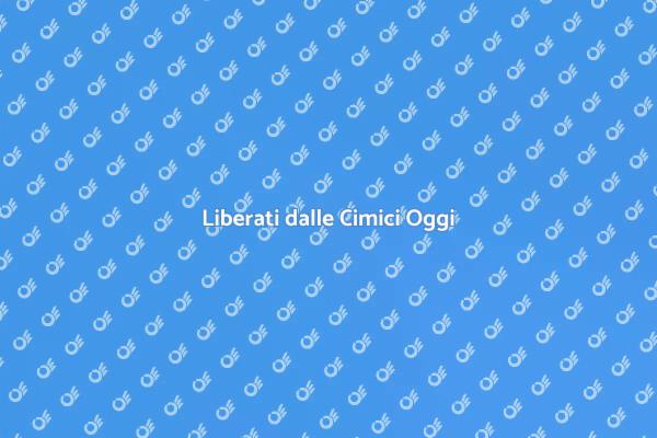 Sconfiggi le Cimici nella Tua Casa