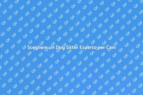 Dog Sitter: Cura Professionale per Cani