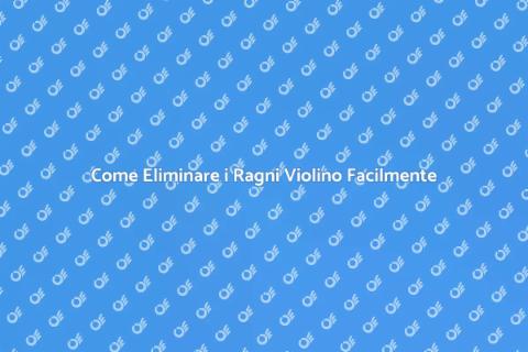 Liberati dei Ragni Violino in Casa
