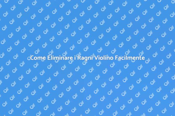 Guida per Liberarsi dei Ragni Violino