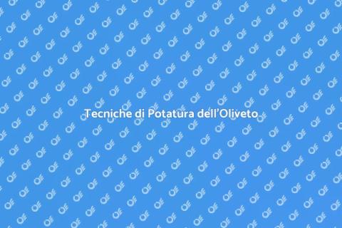 Potatura dell'Olivo per Olio di Qualità