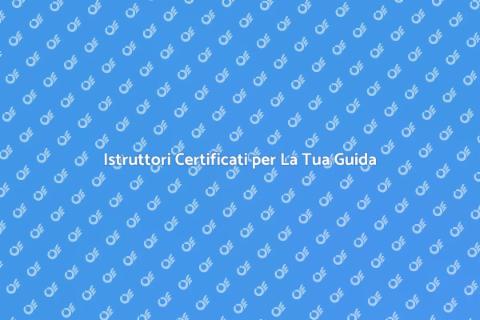 Lezioni di Guida con Istruttori Certificati
