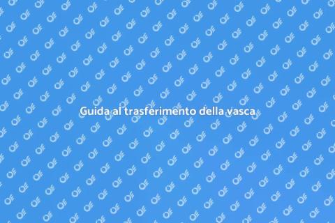 Trasferire la tua vasca: guida pratica