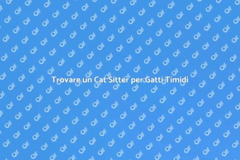 Cat Sitter Affidabile per Gatti Timidi