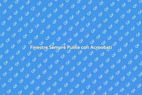 Pulizia Finestre con Acroobati