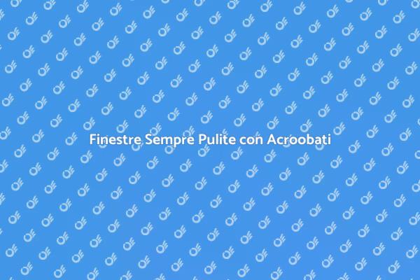 L'arte della Pulizia Finestre