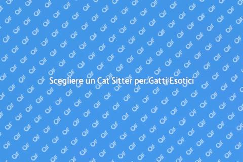 Cat Sitter Esperto per Gatti di Razza