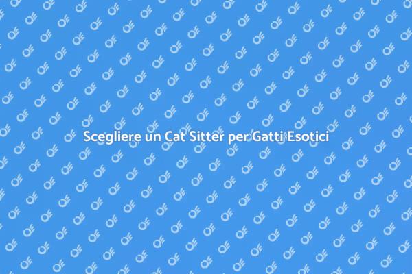 Cat Sitter: Cura per Gatti di Razza