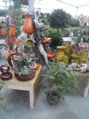 Jonica Garden  - Foto 2
