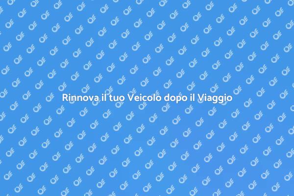 Guida alla Pulizia del Veicolo
