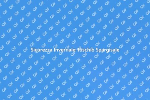 Gestione del Rischio Spargisale