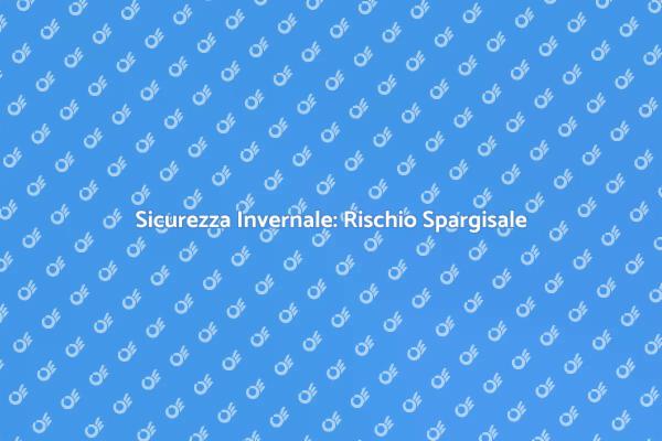 Sicurezza e Rischio Spargisale