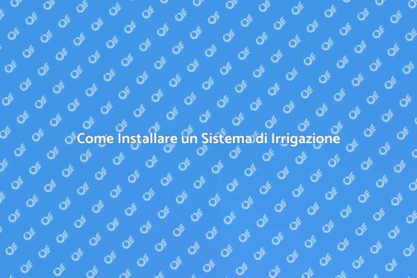 Sistema di Irrigazione per Piante Ornamentali