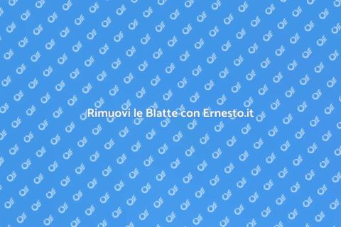 Disinfestazione Blatte con Ernesto.it