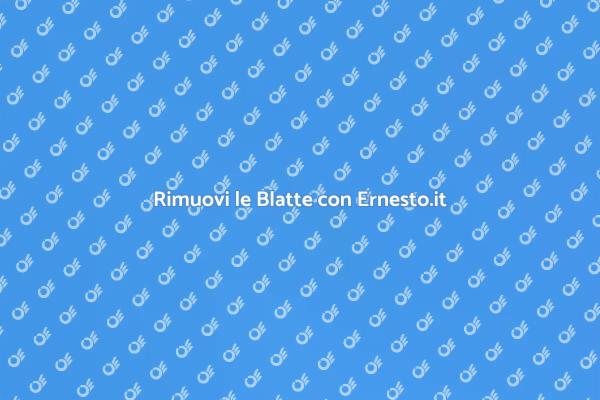 Liberati delle Blatte Subito!