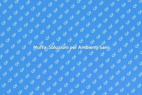 Controllo e Rimozione della Muffa