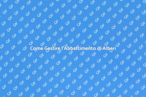 Abbattimento Sicuro di Alberi Grandi