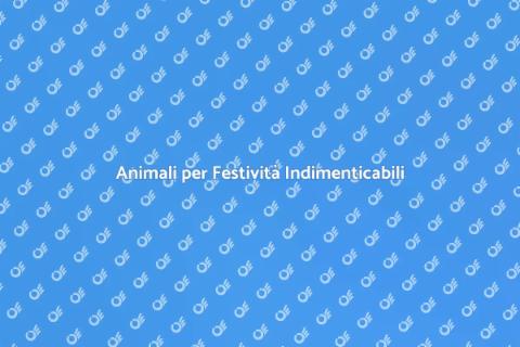 Affitto di Animali per Festività