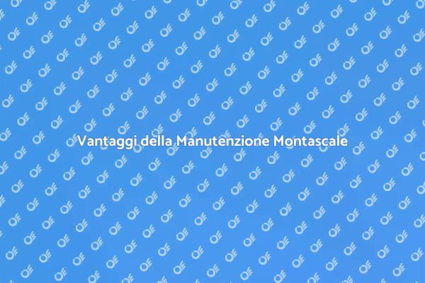 Perché Manutenere il Montascale