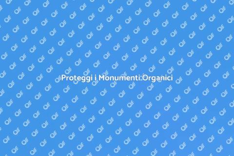 Impermeabilizzazione Monumenti Organici