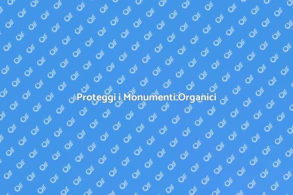 Impermeabilizza i tuoi Monumenti