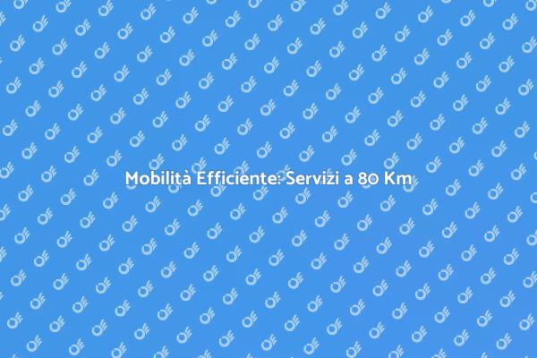 Servizi Professionali: Spostare a 80 Km