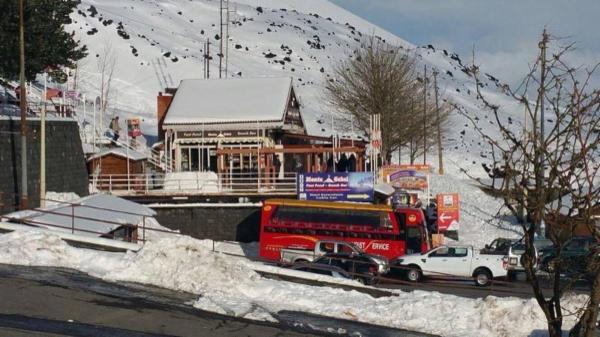 Tourist Service  - Foto 1