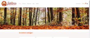 Webmt service - Foto 11