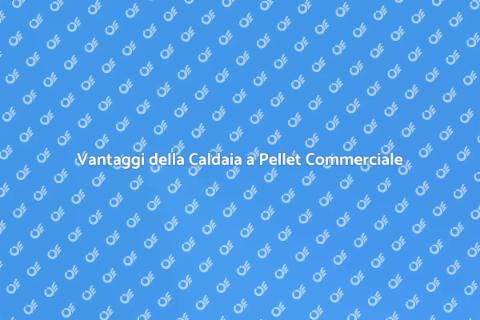 Caldaia a Pellet per Uso Commerciale