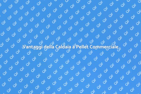 Caldaie a Pellet: La Scelta Commerciale