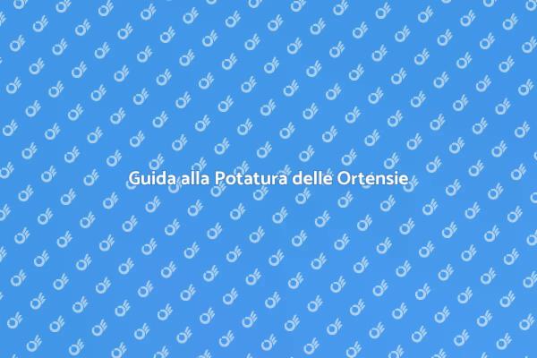 Come Potare le Ortensie Correttamente