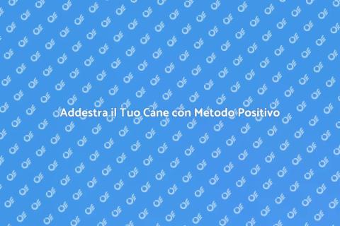 Addestramento Cani: Metodo Positivo