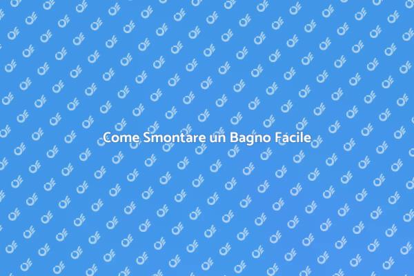 Smontaggio Bagno: Passo dopo Passo