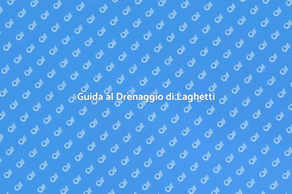 Importanza del Drenaggio nel Giardino